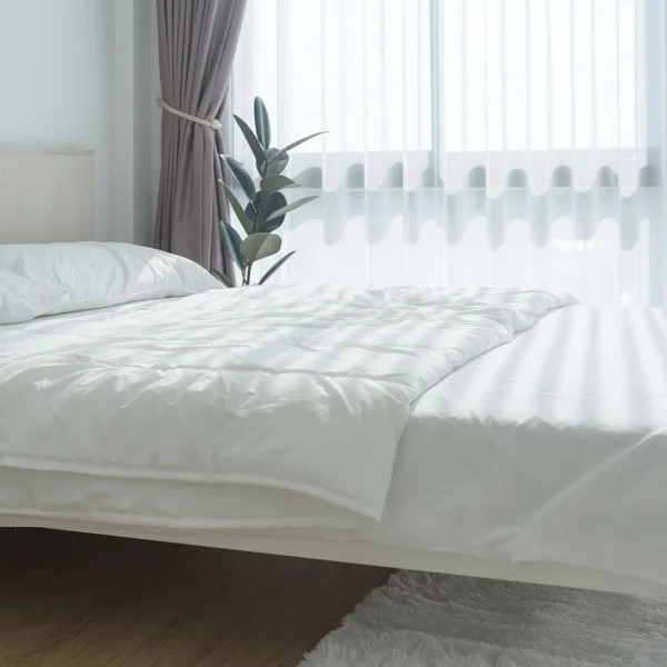 Bedsheet